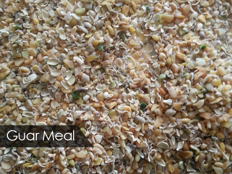 Guar Meal
